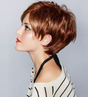 Стрижки на короткие волосы: 14 видов с названиями (200 фото)