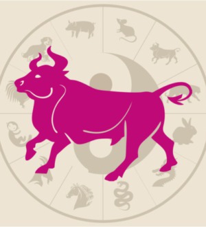 2021 год какого животного — восточный гороскоп от астролога