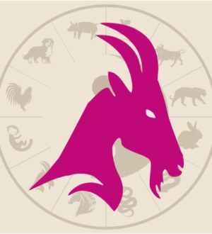 2003 год какого животного: расскажет астрология