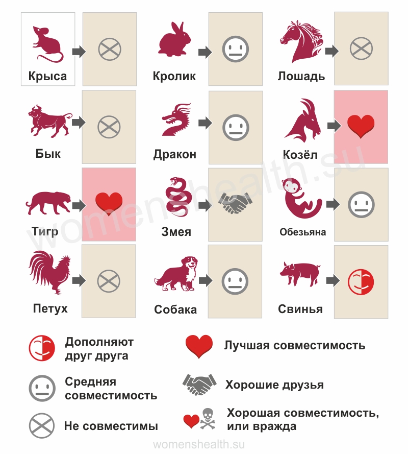 Инфографика: прогноз совместимости и любовных отношений для 2002 года Лошади