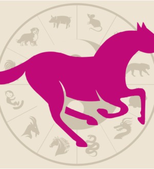 2002 год какого животного: главные характеристики знака