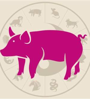 2019 год какого животного — изучаем восточный гороскоп