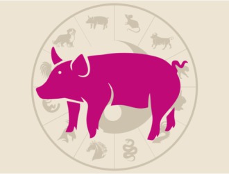 2019 год какого животного — изучаем восточный гороскоп