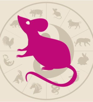 2020 год какого животного — характеристика, совместимость, карьера