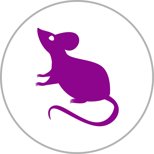 Восточный гороскоп - год Крысы