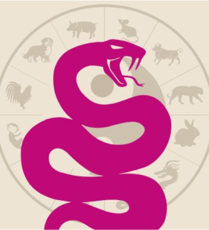 2013 год какого животного? Обратимся к восточным звездочетам!