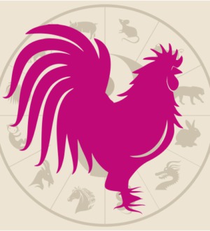 2017 год какого животного по китайскому гороскопу?