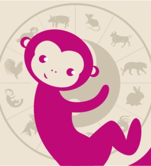 2016 год какого животного: полная характеристика