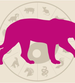 1986 год какого животного: читаем характеристику знака